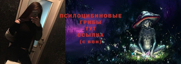 a pvp Каменка